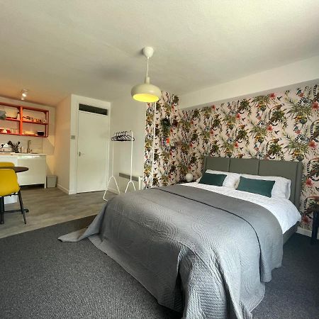 Modern Studio Apartment; 10Min Walk To Town & Quay 埃克塞特 外观 照片