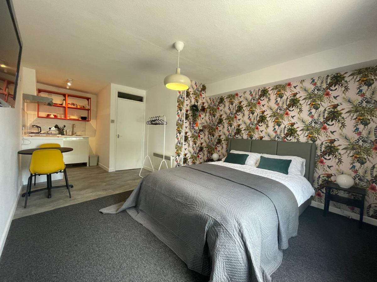 Modern Studio Apartment; 10Min Walk To Town & Quay 埃克塞特 外观 照片